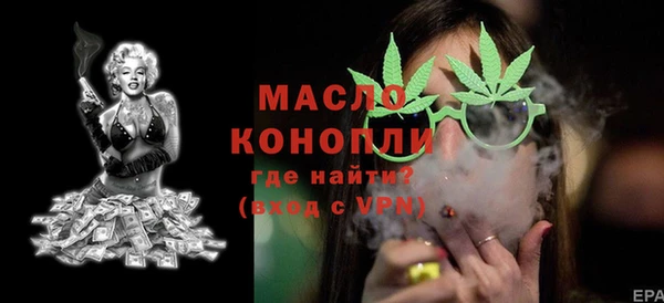 тгк Михайлов