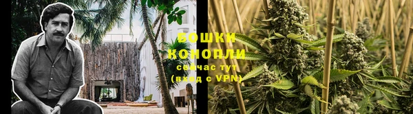 тгк Михайлов
