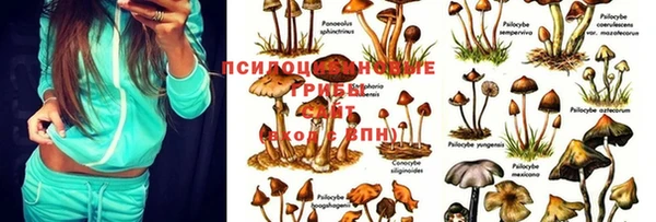тгк Михайлов