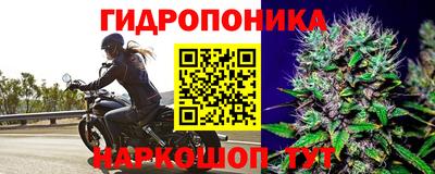 дистиллят марихуана Будённовск