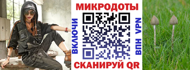Галлюциногенные грибы GOLDEN TEACHER Канск