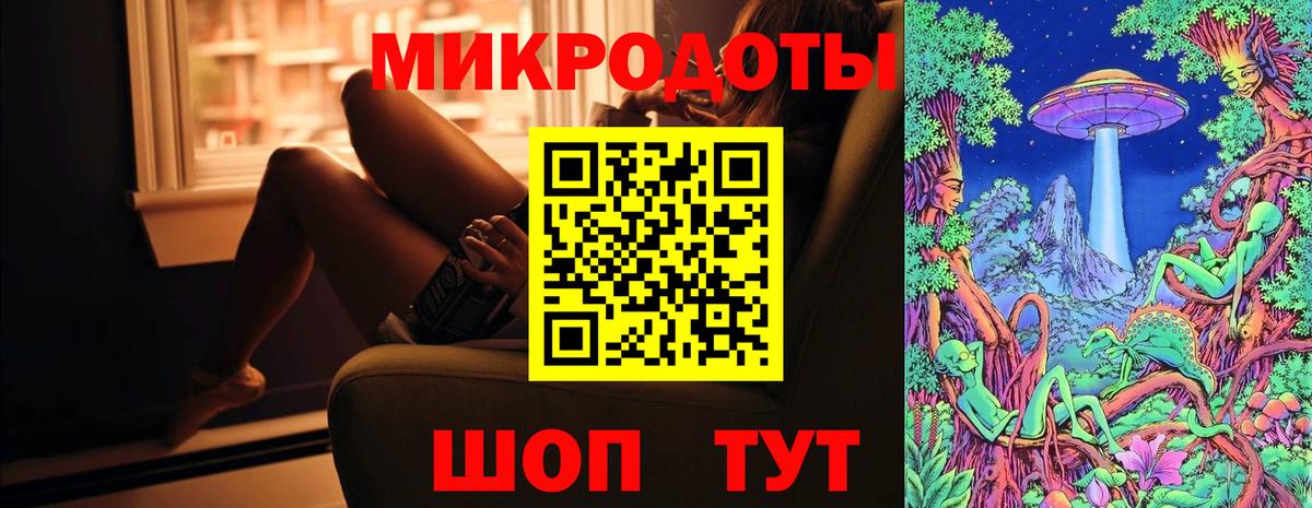 Псилоцибиновые грибы Psilocybe Канск