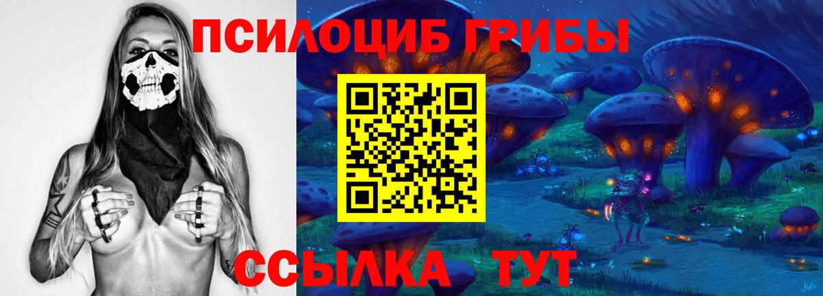 Галлюциногенные грибы Psilocybe  Канск 